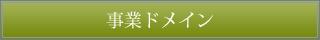 事業ドメイン